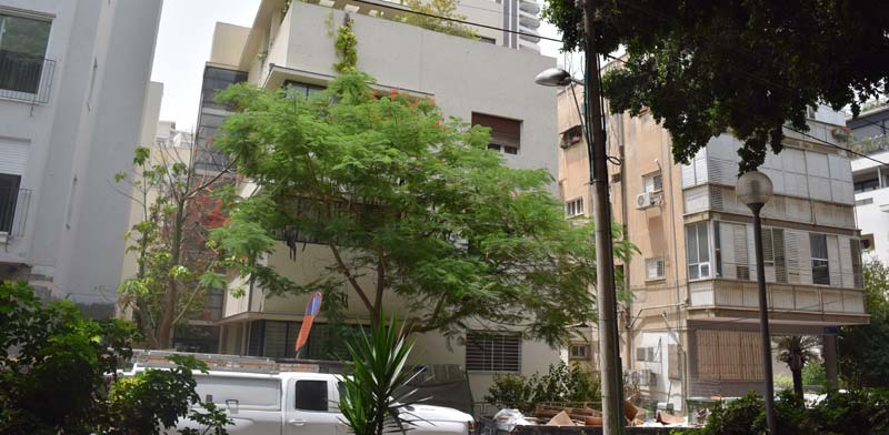 בכמה הושכרה דירת 4 חדרים בקומת קרקע במרכז תל-אביב?