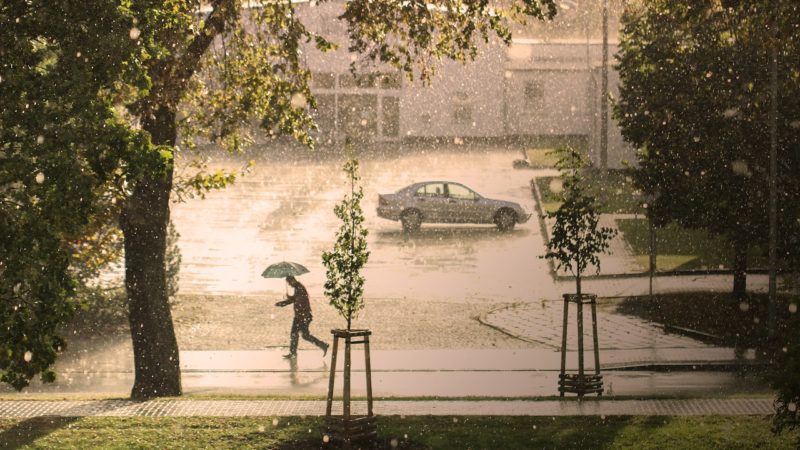 Winter Storm in Israel to Bring About Heavy Snow, Rain, and Wind