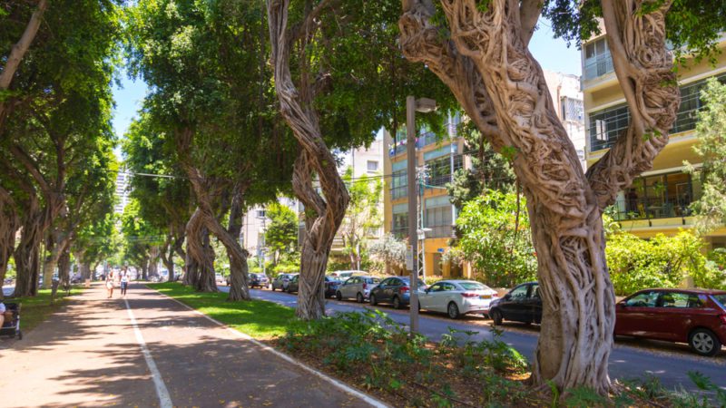 רחובות ואזורים בתל אביב ששווה לבקר בהם