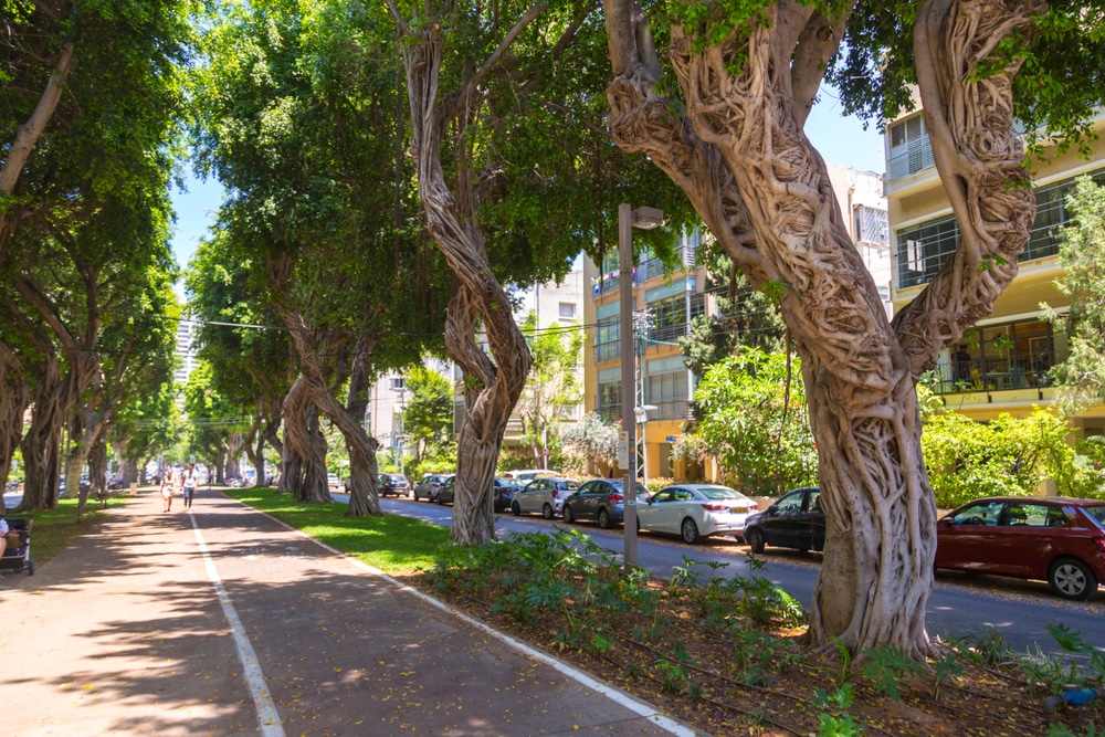 רחובות ואזורים בתל אביב ששווה לבקר בהם