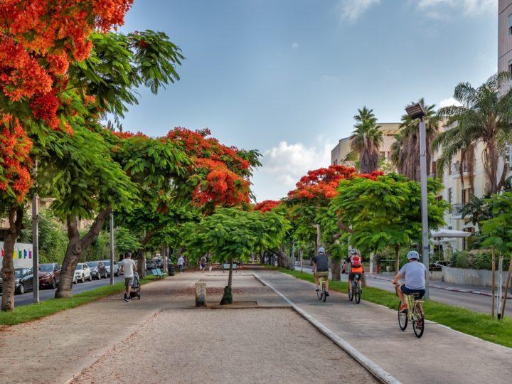תל אביב מעודדת נסיעה באופניים: 50% הנחה על השכרת תל אופן