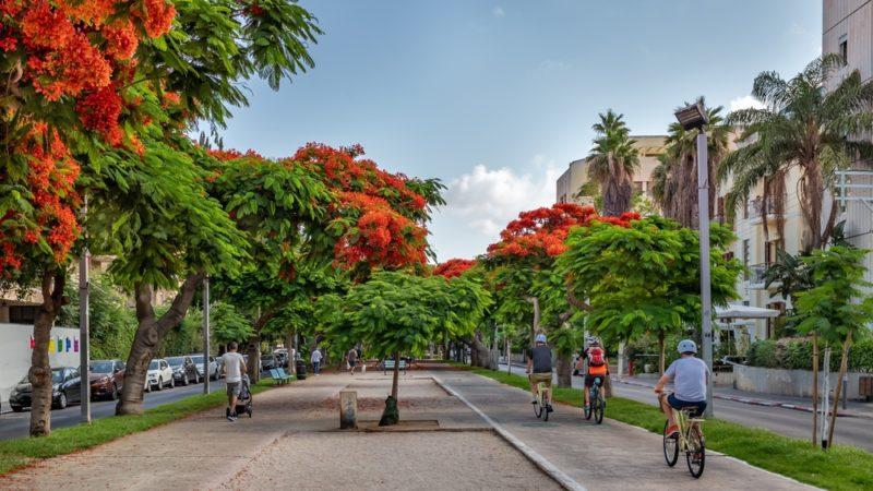 תל אביב מעודדת נסיעה באופניים: 50% הנחה על השכרת תל אופן